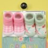 Duck Duck Goose (3 Soft Bibs And 2 Pair of Fun Socks) 0-9 months